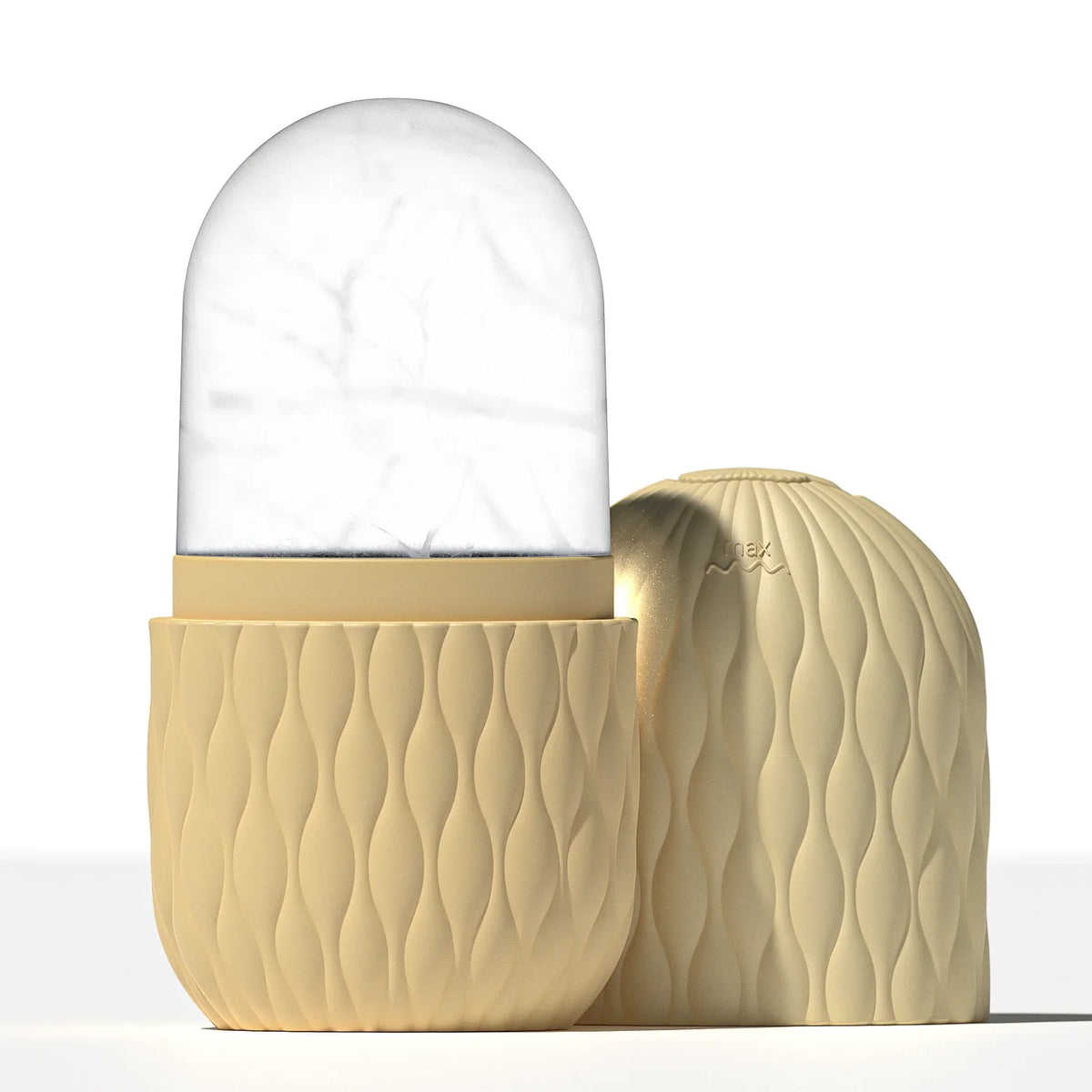 Reusable Silicone Ice Mold for Face